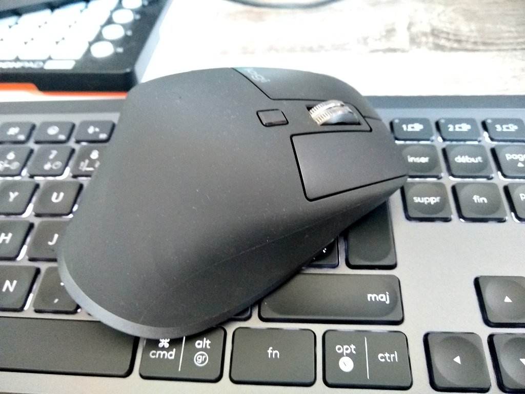 Logitech MX S